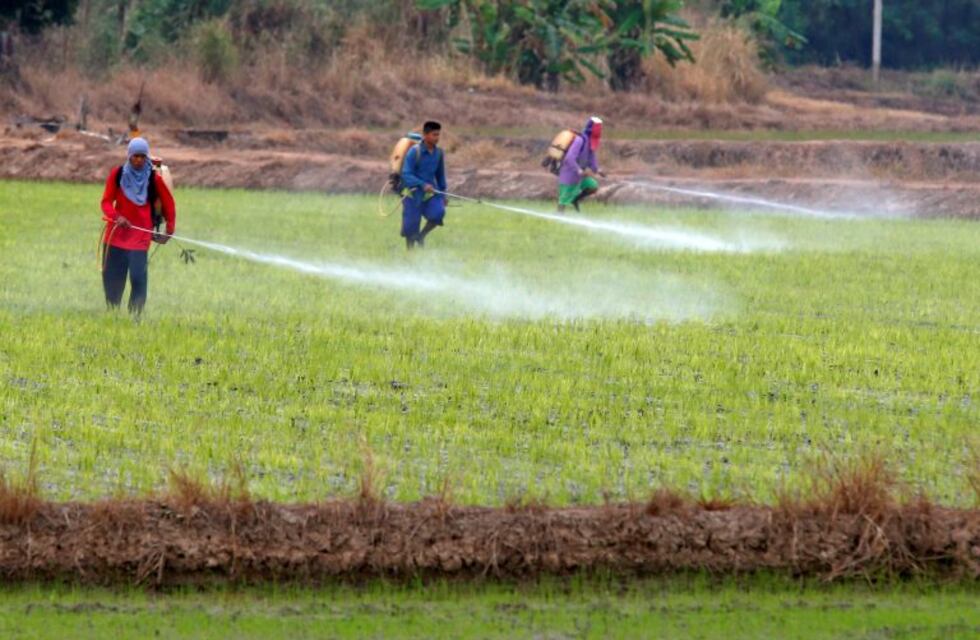 Rige en Córdoba la prohibición de usar el herbicida ácido 2,4 D