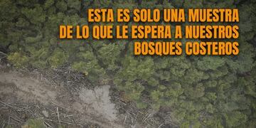 Corredor del Beagle - Denuncias por irregularidades y falta de control