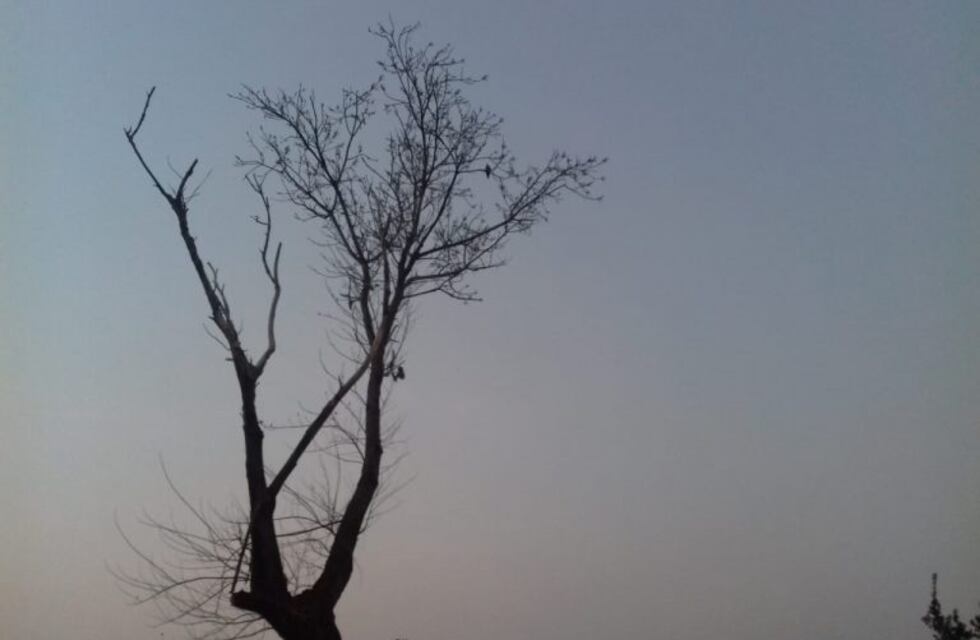 Mañana muy calurosa: ¿cuándo cambia el clima?