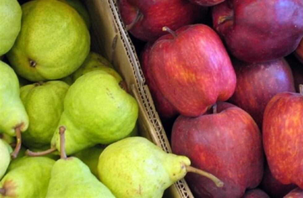 Neuquén invirtió 61 millones de pesos en sanidad frutícola en el último semestre