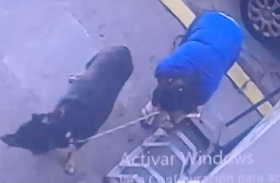 Lanús: ataron a una perra a un bicicletero y la abandonaron