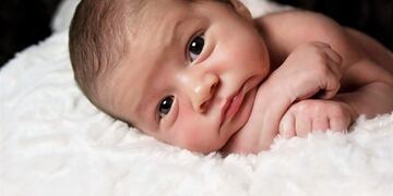 Bebés