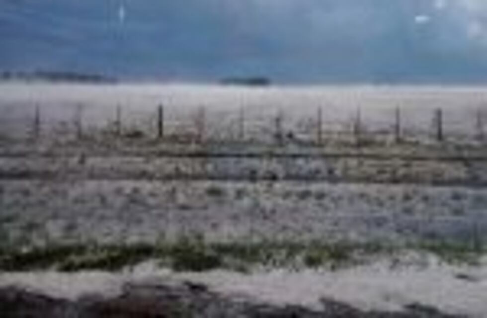 Por temporal de agua y granizo, campos de Córdoba perdieron todo