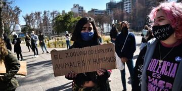 Proteccionistas pidieron reconvertir el zoológico\u002E