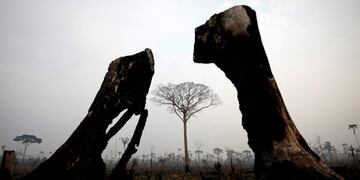 Cuatro bomberos de Arroyito están preparados para ir a combatir el fuego en el Amazonas