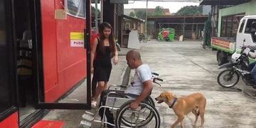 Perro ayuda a su dueño con la silla de ruedas\u002E