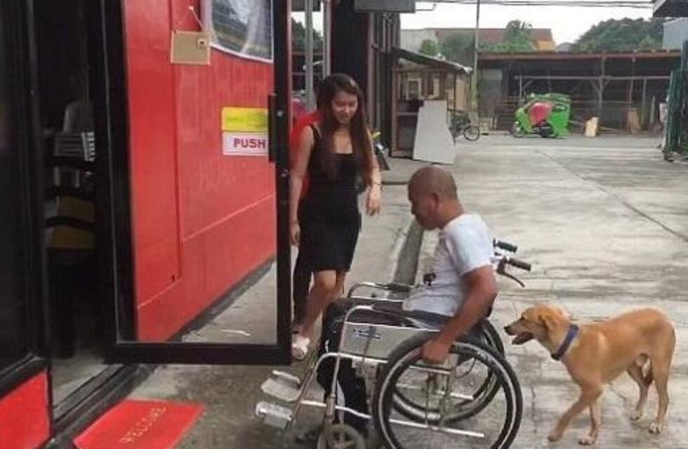 Un perro se volvió viral tras ayudar a su dueño a empujar la silla de ruedas