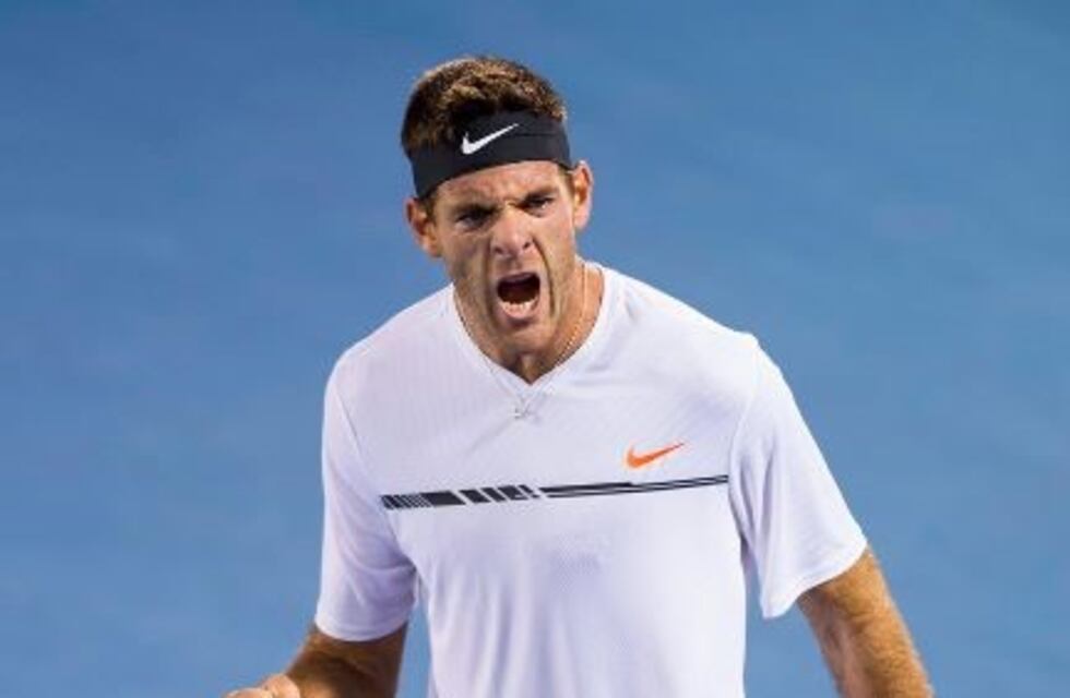 Con esfuerzo, Del Potro se metió en los cuartos de final del ATP de Delray Beach