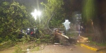 Imágenes del temporal que afectó Resistencia\u002E (Redacción Vía Resistencia)