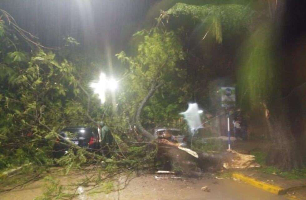 Resistencia: violento temporal azotó la ciudad