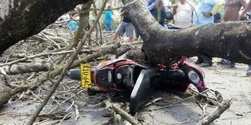 La víctima falleció al caerle una rama en la cabeza\u002E La justicia ordenó que su familia sea indemnizada con más de 2 millones de pesos\u002E