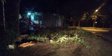 Destrozos por la tormenta