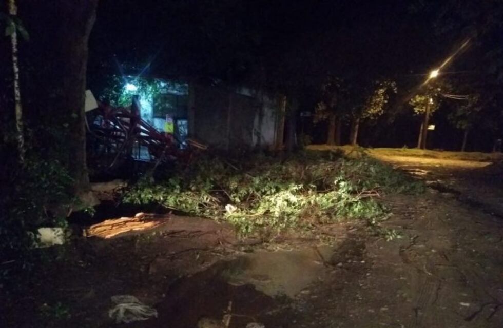 Una tormenta que sorprendió en la madrugada y causó daños