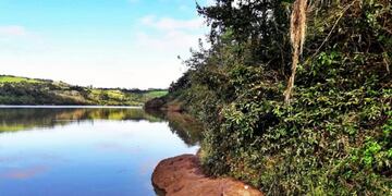 El Soberbio: frustraron robo de madera nativa