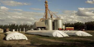 Silos Bolsas -  Ph: Ricardo Ceppi