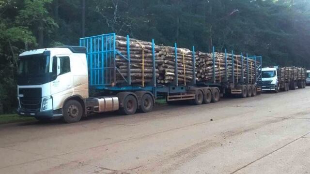 Camioneros protestaron en la planta celulosa Arauco