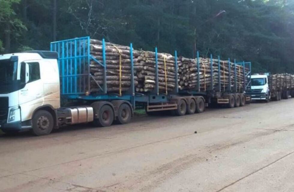 Camioneros protestaron en la planta celulosa Arauco