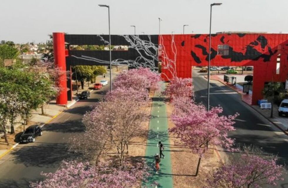 Monseñor Pablo Cabrera y Damián Garat: un cruce transitado pero sin semáforos