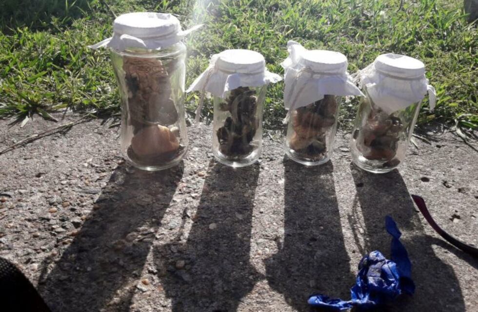 Se cruzó con un operativo de Gendarmería y lo detuvieron porque llevaba cucumelo
