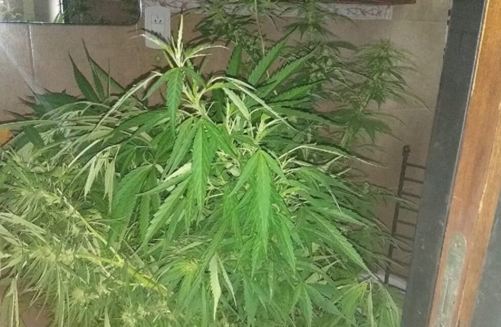 Un joven recibió un disparo en el abdomen tras una discusión familiar