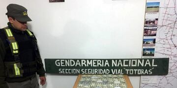 El conductor no contaba con la justificación de su legal tenencia, en Infracción a la Ley Nº 22\u002E415\u002E