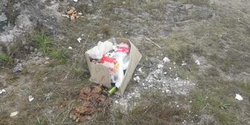 Sin palabras: el rally Argentina es sinónimo de desprecio por la naturaleza