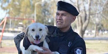 Fotografía: Sebastián Fariña Petersen\u002E