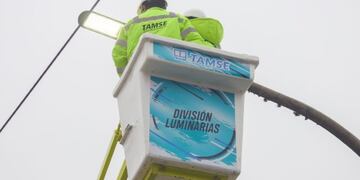 Division Luminarias de Tamse\u002E