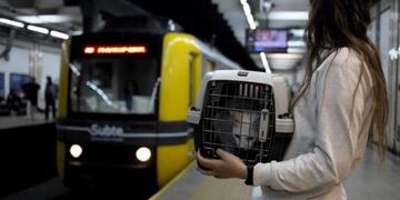 Mascotas subte