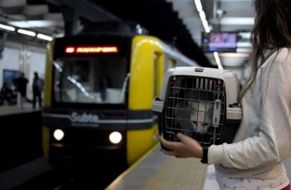 A partir de este sábado se podrá viajar con mascotas en el subte porteño