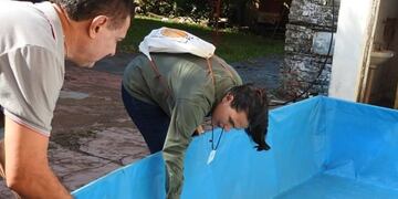 Donde hay agua acumulada los mosquitos Aedes Aegypti dejan sus huevos\u002E (Prensa de Salud)