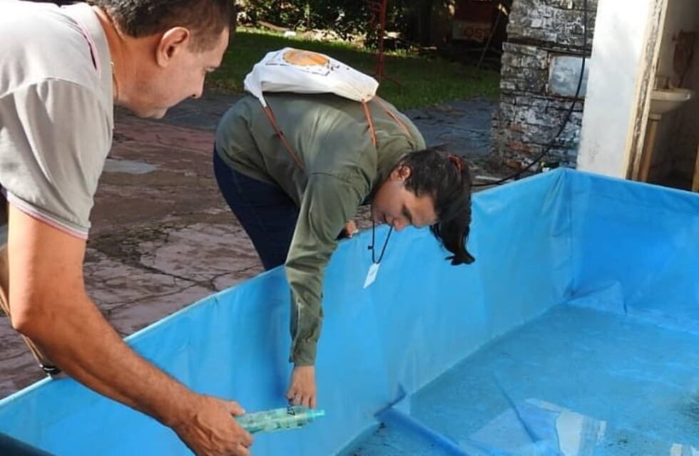 El dengue no cesa y se mantienen las medidas de prevención en Misiones