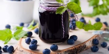 Rumbos en casa\u002E