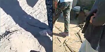 Enterraban vivos unos cachorros