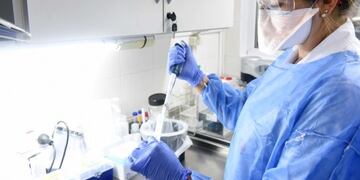 El coronavirus sera considerado \