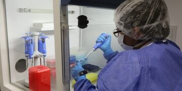 Eel sistema CoDIS, programa creado por el FBI para investigación criminal, fue presentado en Mendoza\u002E