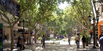 Ambas cámaras denunciaron pérdidas y falta de clientes por el feriado declarado por el presidente Alberto Fernández tras el ataque a Cristina.