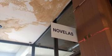 Penoso estado de la biblioteca más importante de Mar del Plata (Foto: Loquepasa)
