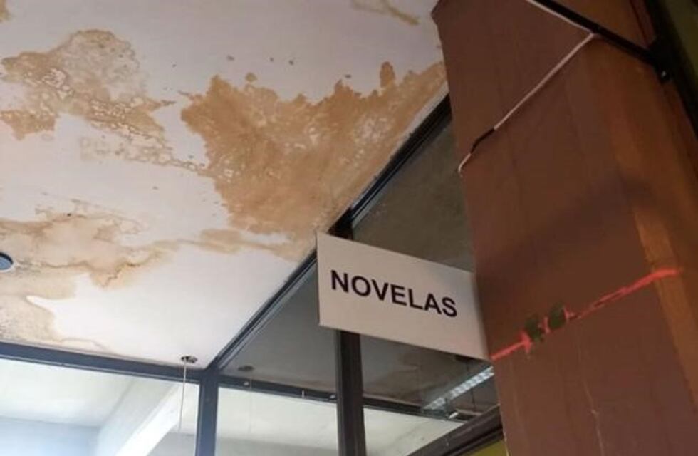 Penoso estado de la biblioteca más importante de Mar del Plata