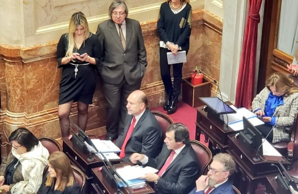 Perotti pidió que se trate su proyecto sobre aborto en la sesión del Senado