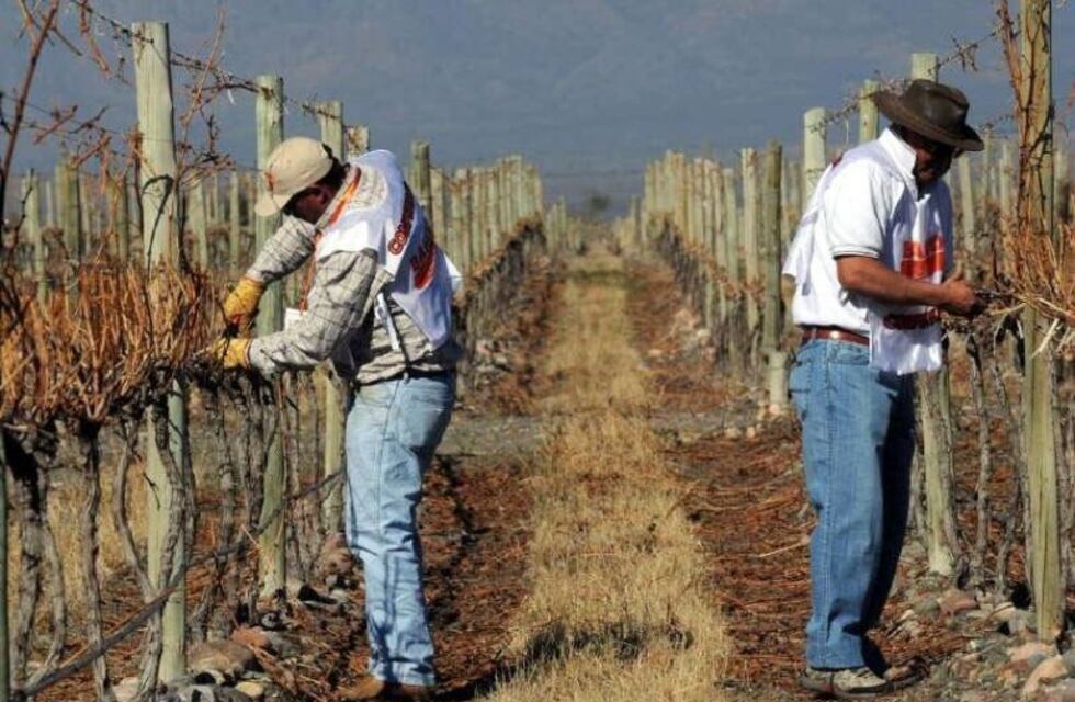 Extienden el plazo para la renovación del RUT