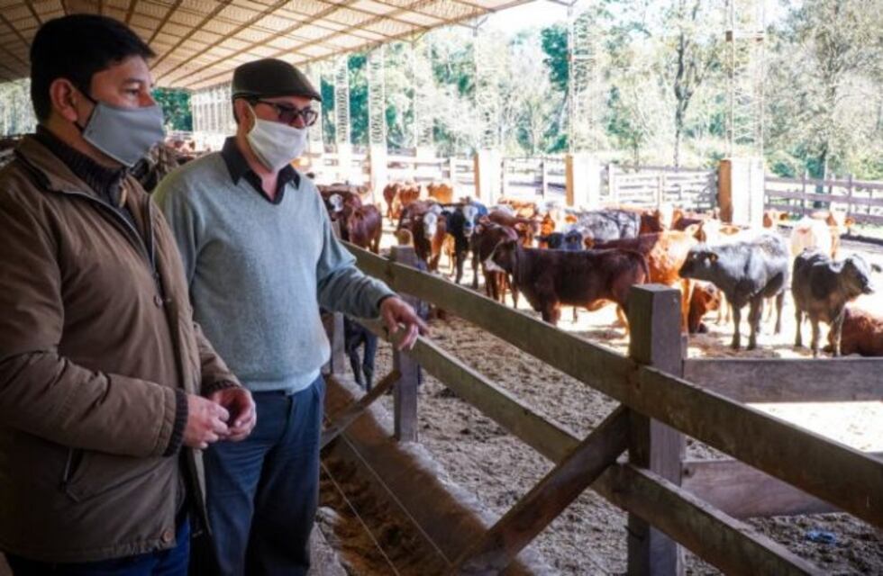 La próxima semana comenzará el relevamiento productivo de Zona Norte