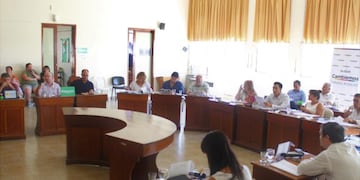 Sesión extraordinaria Línea 319