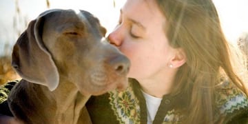 Los perros con la compañía más fiel para los humanos.