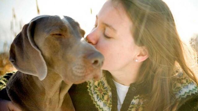 Los perros con la compañía más fiel para los humanos.