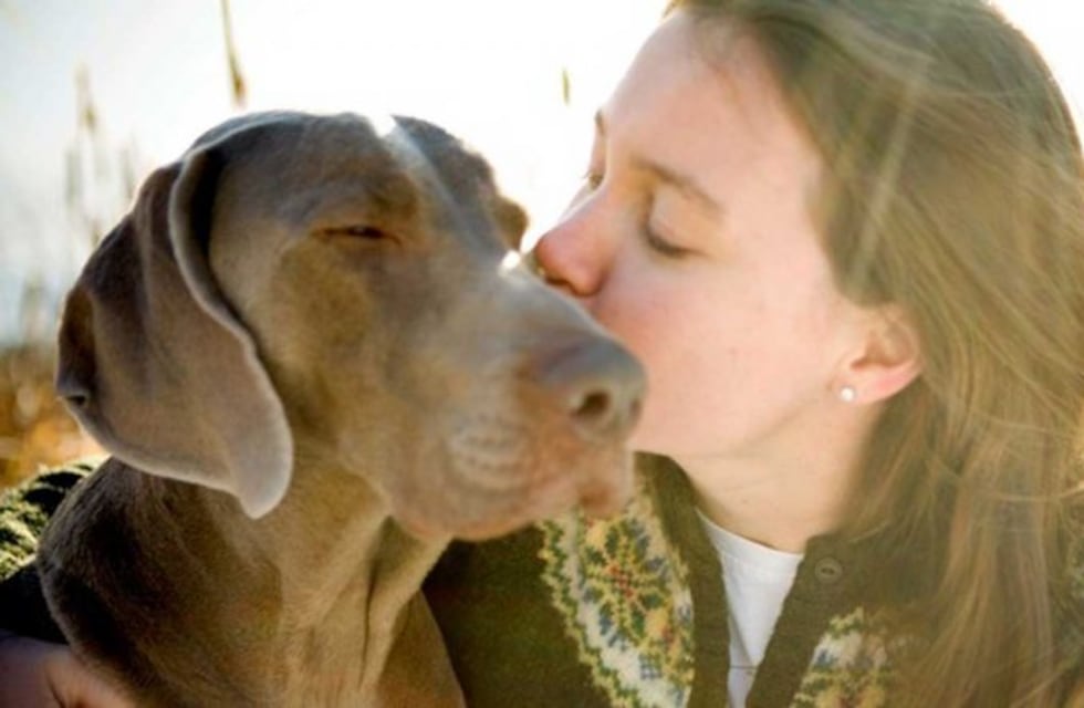 ¿Cuál es el perro ideal para cada signo?