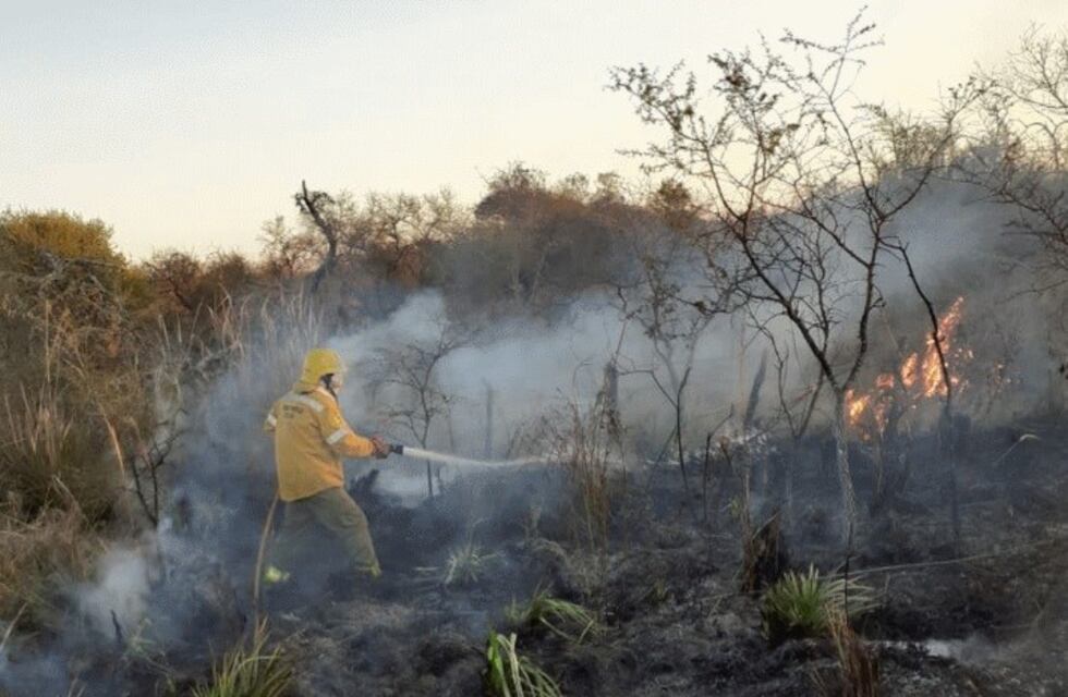 Nuevos incendios forestales en Feliciano