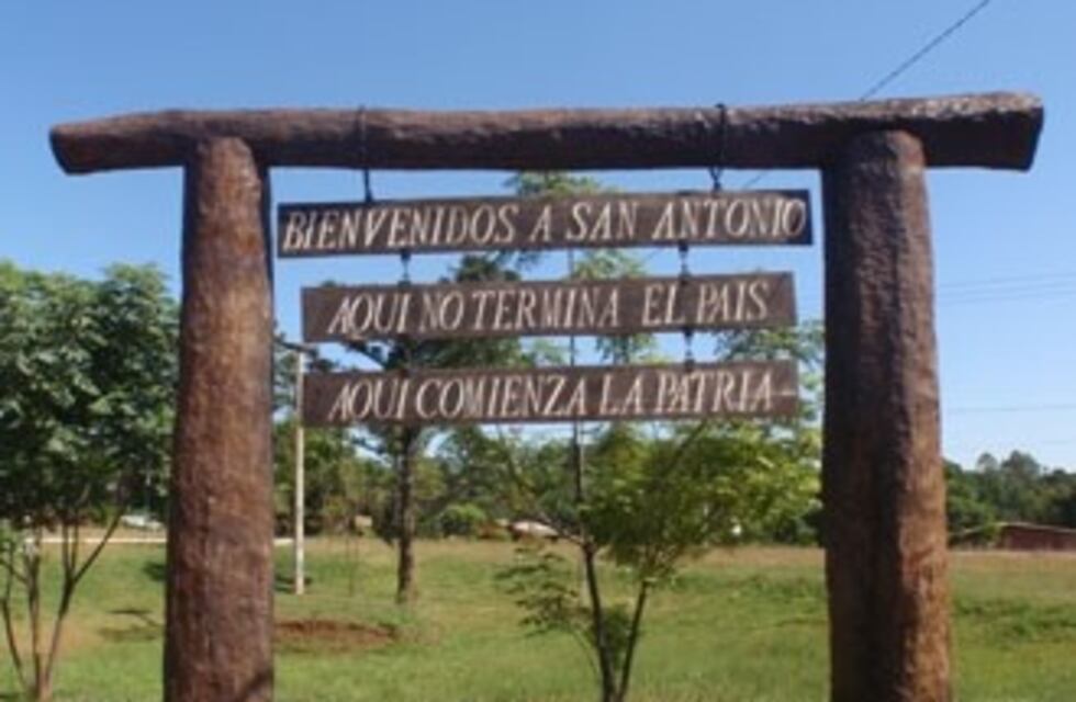 Seis vacas murieron electrocutadas por una línea de alta tensión al norte de Misiones