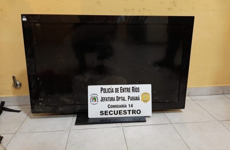 Forzó la puerta de ingreso y robó un televisor, una computadora y otros elementos