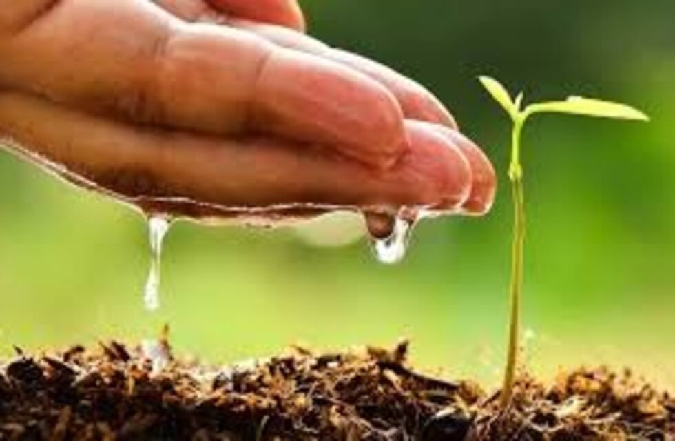 En Bell Ville, la municipalidad dictará charlas ambientales a alumnos de las escuelas